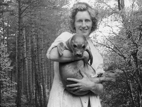 Mevrouw de Haan met een van de zeehonden in haar armen