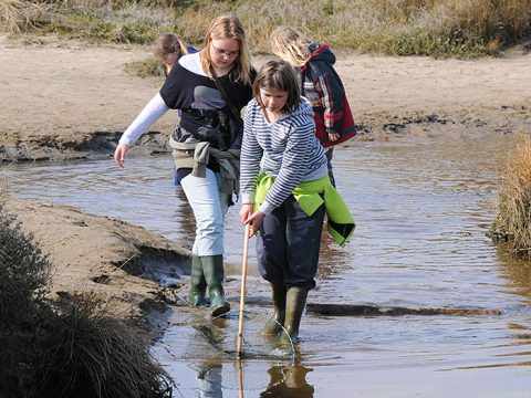 Kinderen vissen met duwnetjes tijdens Slufterexcursie