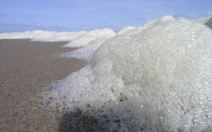 Schaum von der Schaumalge am Strand