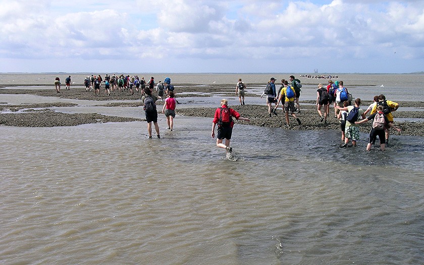 Hiking the mud flats in the Wadden Sea (© Ecomare)