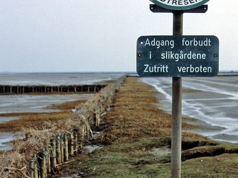 Kustverdediging op Mandø, foto van Kees Kuip