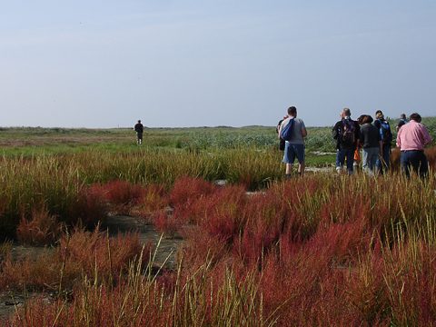 Excursie op Rottumeroog