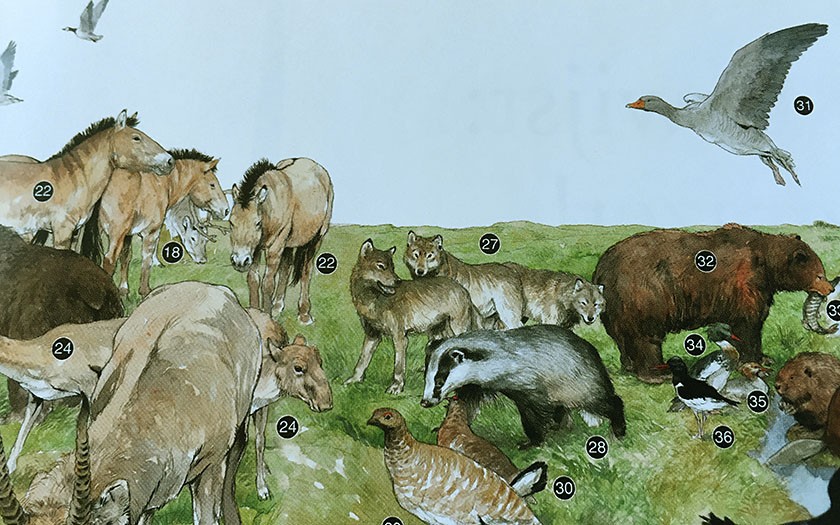 Tekening van de mammoetsteppe met wolven en andere grote zoogdieren.