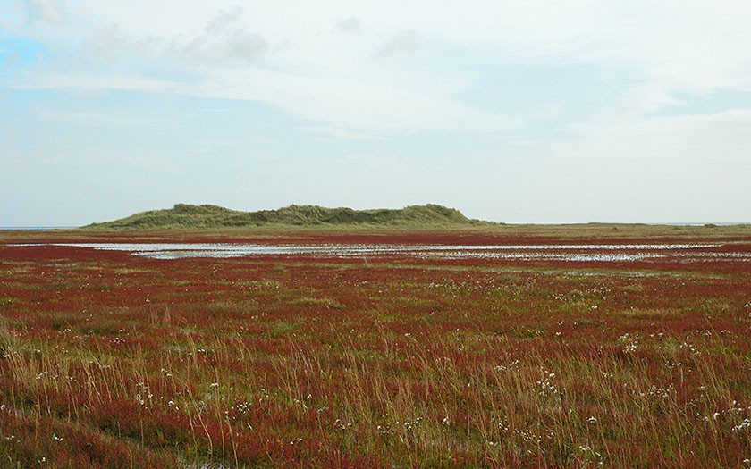 Vliehors op Vlieland