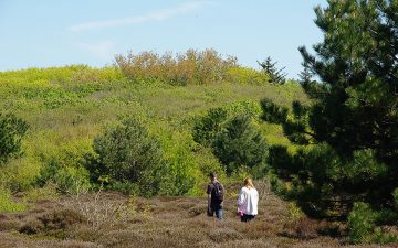 Wandelen in het duinpark bij Ecomare