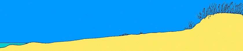 Illustration of dune formation -1