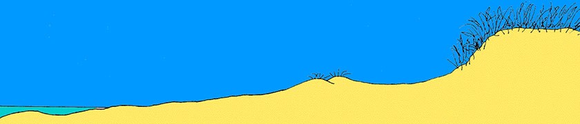Illustration of dune formation -2