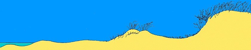 Illustration of dune formation -3