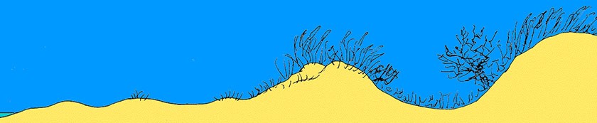 Zeichnung von der Dünenbildung -4
