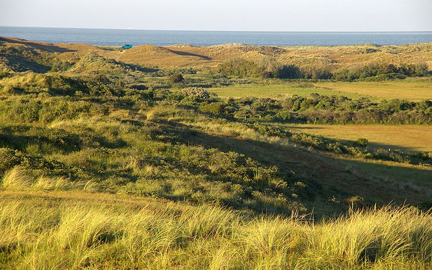 De Tuintjes, Eierlandse Duinen Texel (Foto: www.fotofitis.nl)