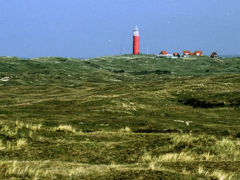 Eierlandse Duinen