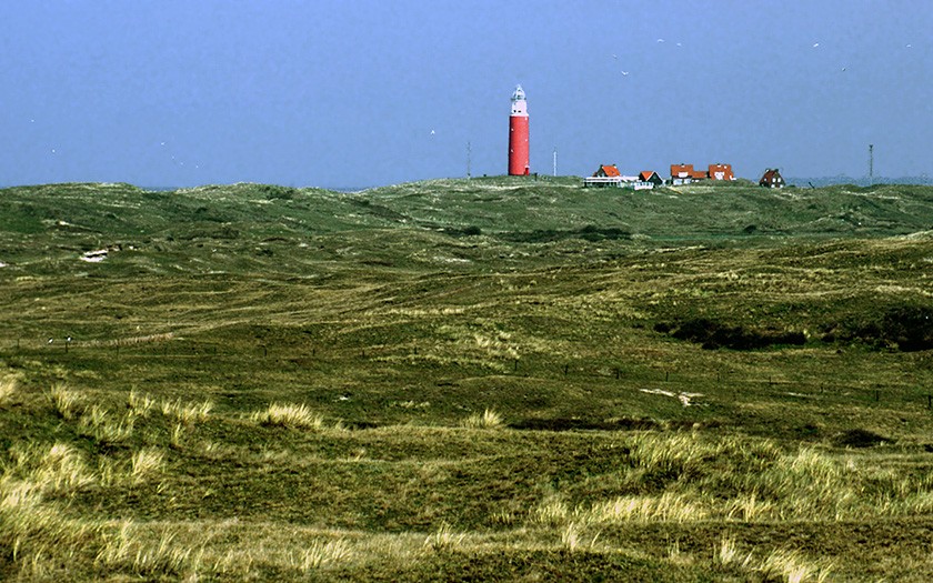 Eierlandse Duinen (© Ecomare)