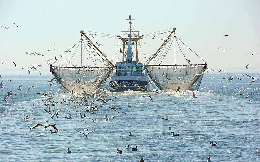 Shrimp boat spooling the nets near the Balgzand (photo: www.fotofitis.nl)
