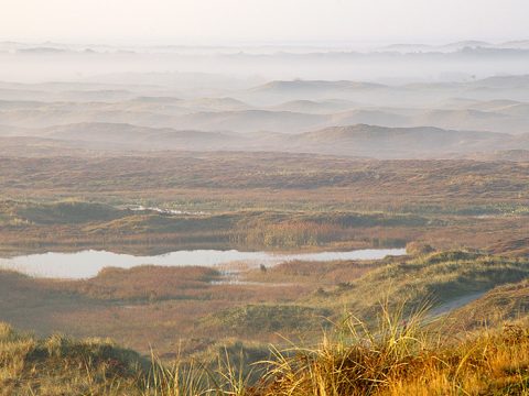 De Geul, Texel, © www.fotofitis.nl