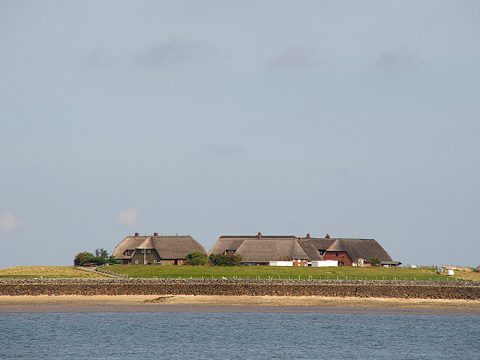 Hallig Hooge. Foto: Foto Fitis