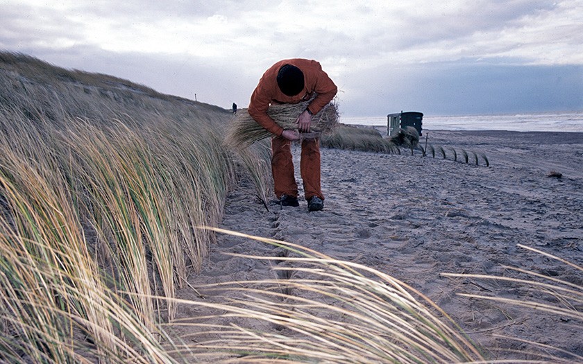 Helmplanter aan het werk