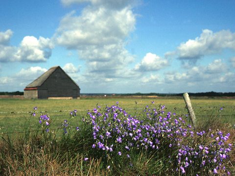 Schapenboet op de Hoge Berg