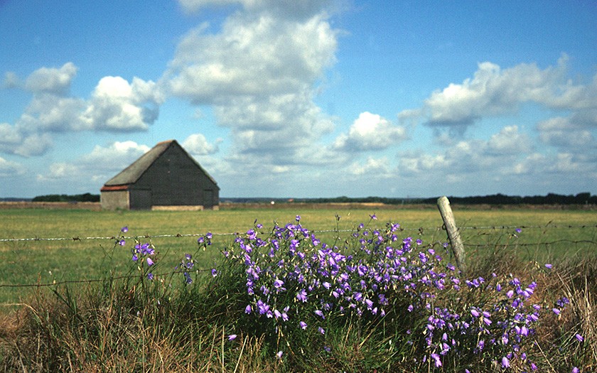 Schapenboet op de Hoge Berg (© www.fotofitis.nl)