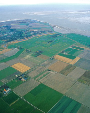 Luchtfoto van Eierland (www.fotofitis.nl)