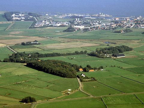 Oude polders bij Oudeschild