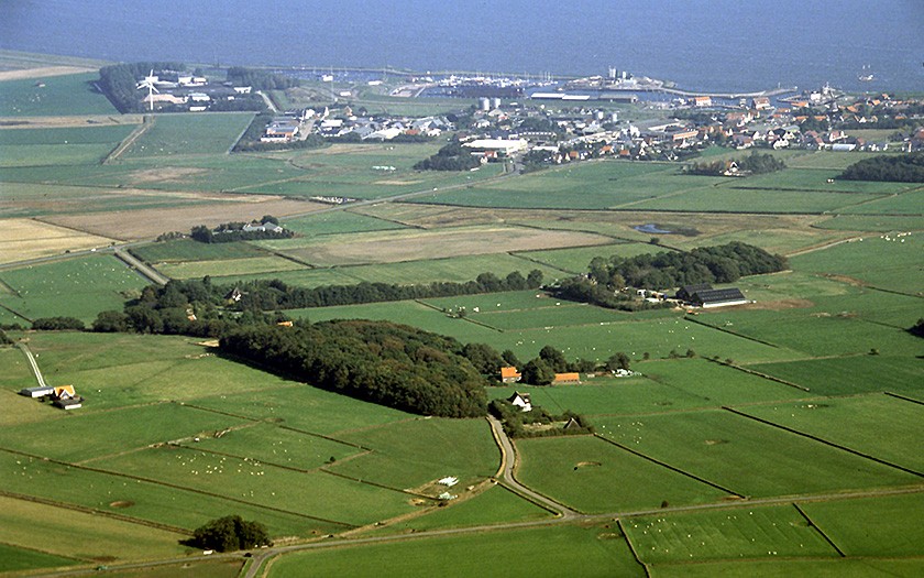 Oude polder, bij Oudeschild (Foto: Foto Fitis)