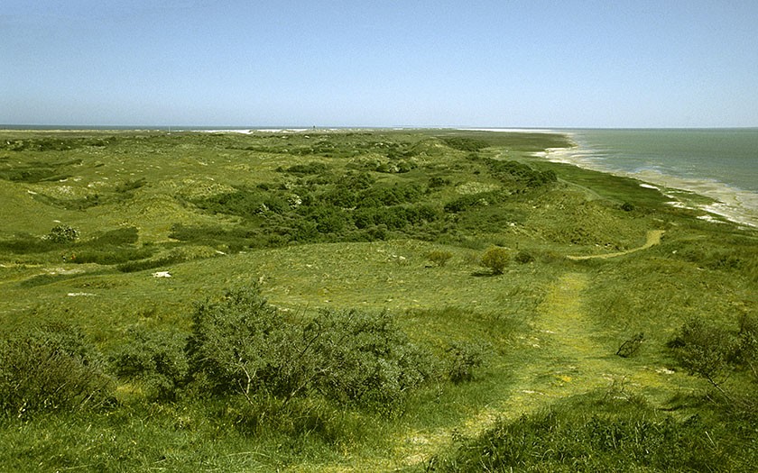 Oerd, natuurgebied op Ameland (Foto www.fotofitis.nl)