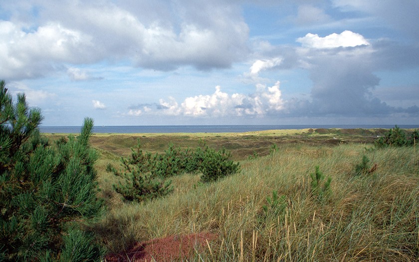 Seetingsnollen duinen van Texel (Foto: www.fotofitis.nl)