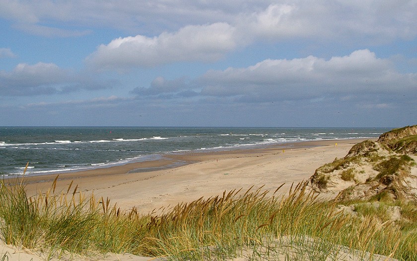 Beach ridge (www.fotofitis.nl)