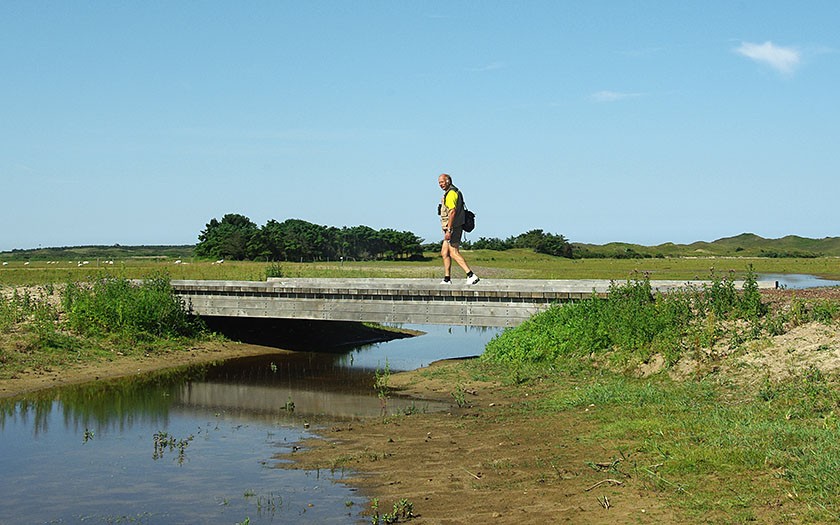 Naturfreundliche Ufer in De Muy (Foto: www.fotofitis.nl)