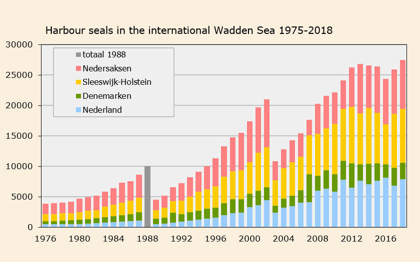 Harbour seal numbers in the international Wadden Sea