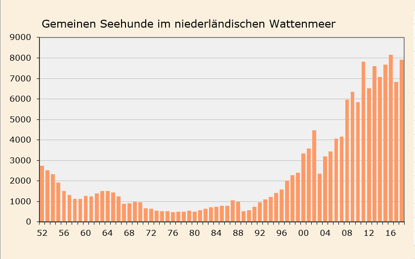 Anzahl der Gemeinen Seehunde im niederländischen Wattenmeer 