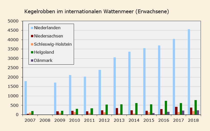 Anzahl der Kegelrobben im internationalen Wattenmeer (Erw.)