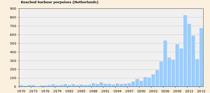 Graph of beached harbour seals in the Netherlands