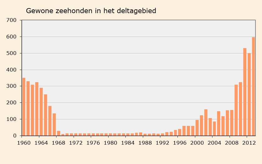 Grafiek aantal gewone zeehonden in het deltagebied (© Ecomare)