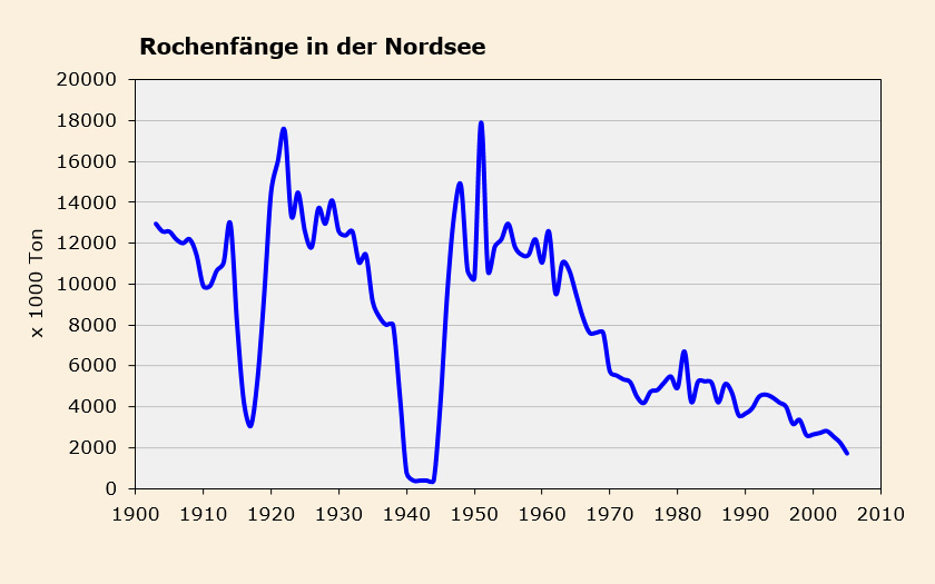 Grafik Rochenfänge in der Nordsee (© Ecomare)