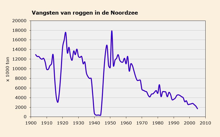 Grafiek roggenvangsten in de Noordzee (© Ecomare)