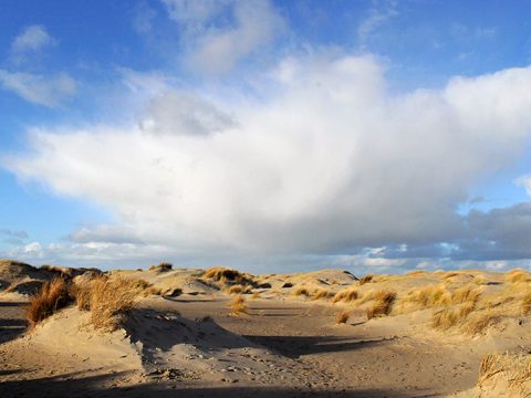 Duinen op de Hors