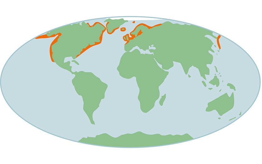 Kaart verspreiding van gewone zeehonden wereldwijd (© Ecomare)