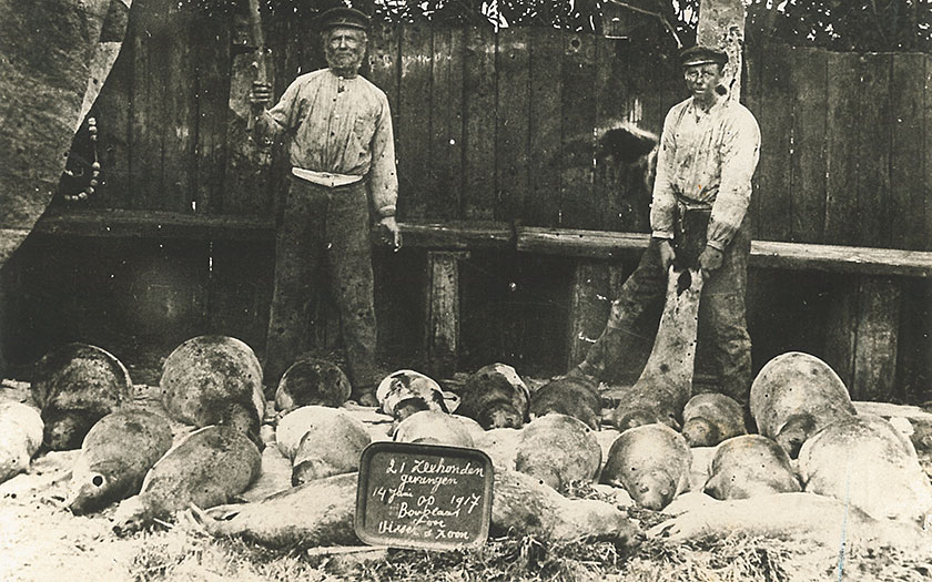 Zeehondenjagers (Foto archief Ecomare)