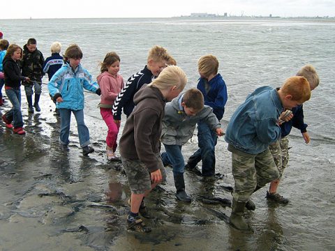 Kinderen trekken sleepnet door de branding