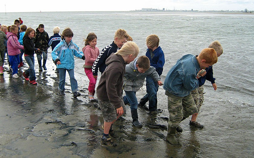 Kinderen trekken sleepnet door de branding