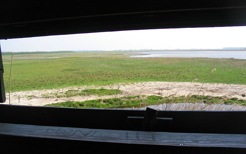 Vogelkijkhut bij Lauwersmeer