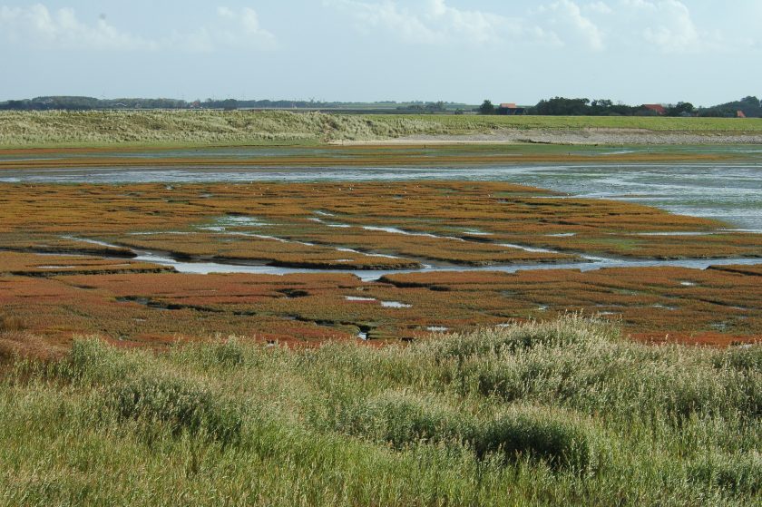 Mok Bay (Photo: Foto Fitis)