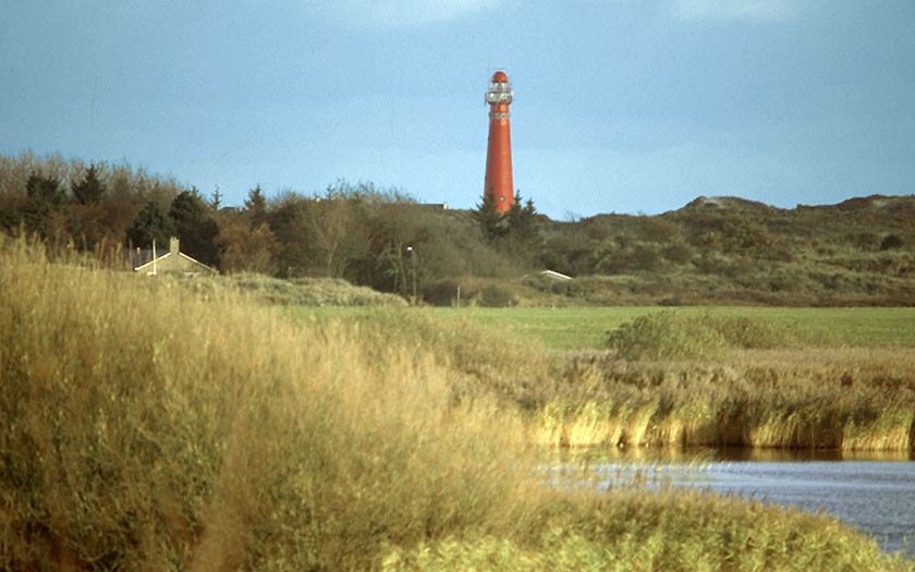 Westerplas op Schiermonnikoog (foto Martin Schoenmaker)