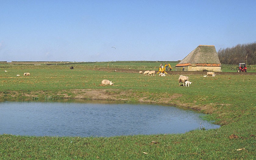 Drinkkolk Hoge Berg Texel