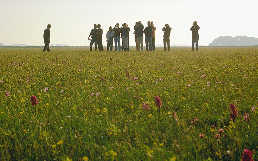 Excursie in De Bol, brakwatergebied op Texel