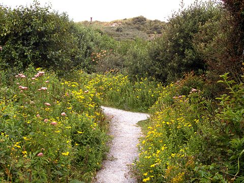 Het Duinpark Ecomare Texel