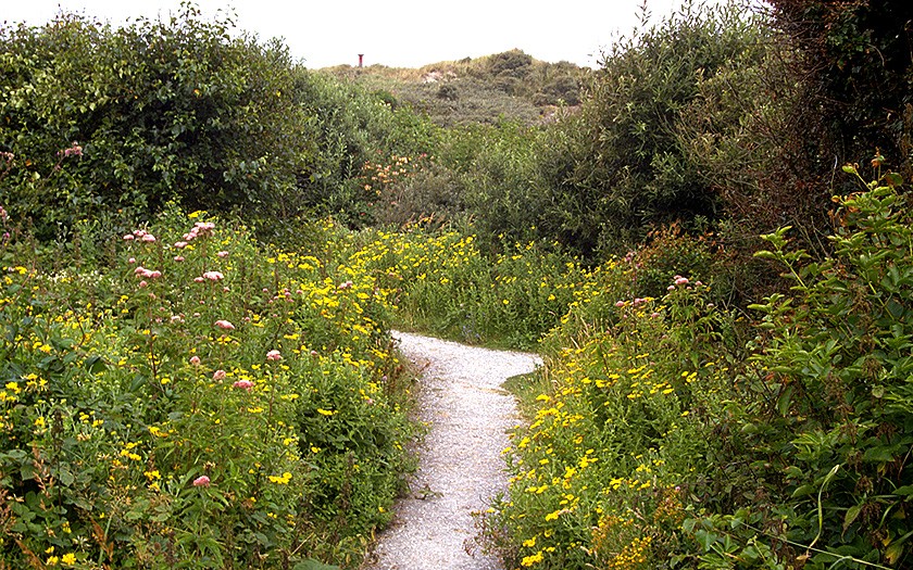 Het Duinpark Ecomare Texel