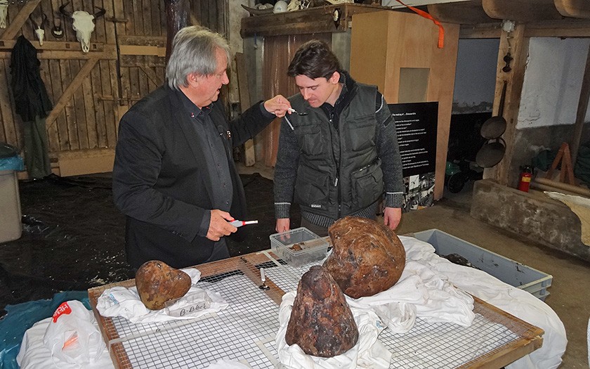 Clumps of ambergris being investigated (photo Ecomare)