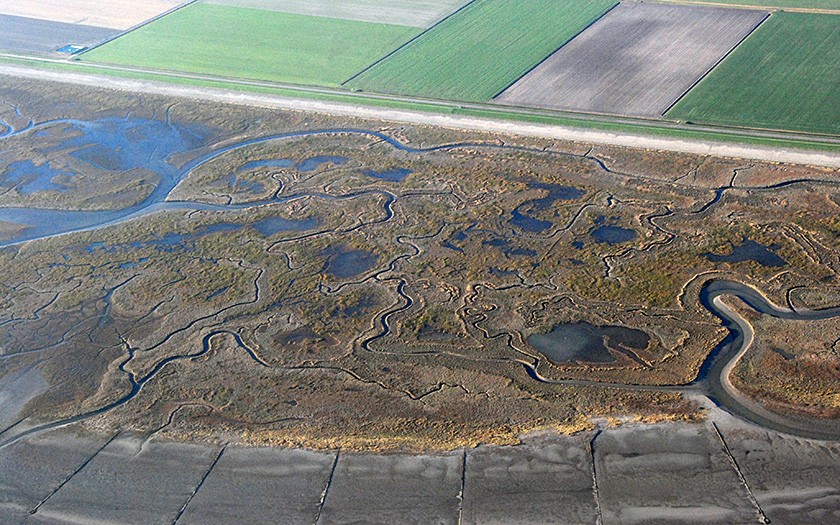 Kweldergebied de Schorren vanuit de lucht (foto Ecomare)